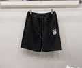 DIOR Lovers pants best quality
