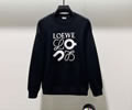 LOEWE Lovers Hoodies Best quality