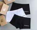 Burberry men Underwear 3Price in a Box