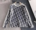 DIOR Lovers sweater Best quality