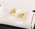 CELINE Earring best quality