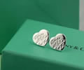 Tiffany & CO Earring
