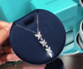 Tiffany & CO Necklace best quality