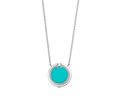 Tiffany & CO Necklace best quality