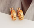 Cartier Earring Best quality
