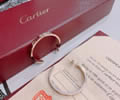Cartier Earring Best quality