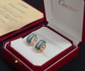 Cartier Earring Best quality