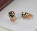 Cartier Earring Best quality