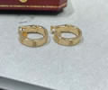 Cartier Earring Best quality