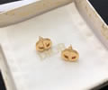 DIOR Earring best quality