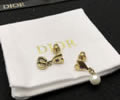 DIOR Earring best quality