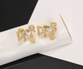 DIOR Earring best quality