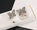 DIOR Earring best quality