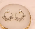 DIOR Earring best quality