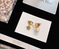 DIOR Earring best quality