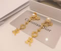 DIOR Earring best quality