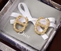 DIOR Earring best quality