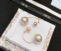 DIOR Earring best quality