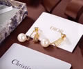 DIOR Earring best quality