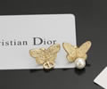 DIOR Earring best quality