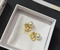 DIOR Earring best quality