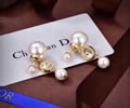 DIOR Earring best quality