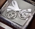 DIOR Earring best quality