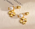 DIOR Earring best quality