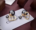 DIOR Earring best quality