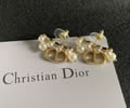 DIOR Earring best quality