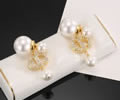 DIOR Earring best quality