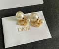 DIOR Earring best quality