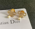 DIOR Earring best quality