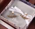DIOR Earring best quality