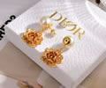DIOR Earring best quality