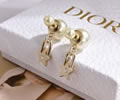 DIOR Earring best quality