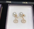 DIOR Earring best quality