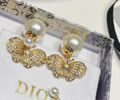 DIOR Earring best quality