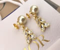 DIOR Earring best quality