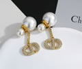DIOR Earring best quality