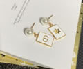DIOR Earring best quality