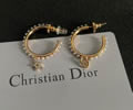 DIOR Earring best quality