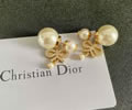 DIOR Earring best quality