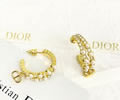 DIOR Earring best quality