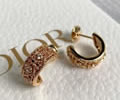 DIOR Earring best quality