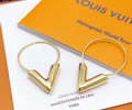 LV Earring best quality