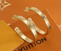 LV Earring best quality