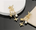 LV Earring best quality