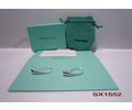 Tiffany & CO Earring
