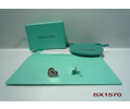 Tiffany & CO Earring